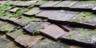 Brandon roof repair costs